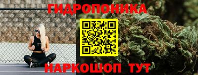 трава Кунгур