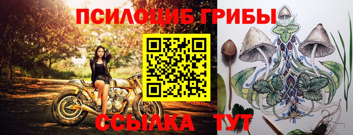 Псилоцибиновые грибы мухоморы Жуковский