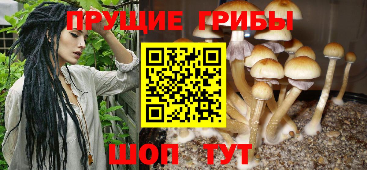 Меф   Жуковский  ЭКСТАЗИ  Вход с VPN  Бошки Шишки 