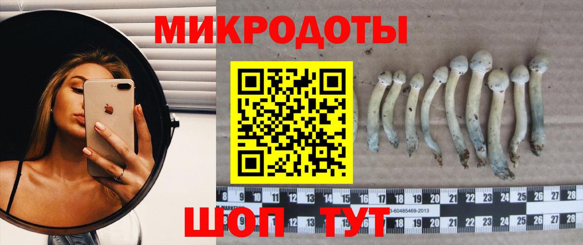 Галлюциногенные грибы MAGIC MUSHROOMS  Галлюциногенные грибы мухоморы  Вход с VPN  Жуковский 